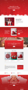 Websites Christmas Store Home